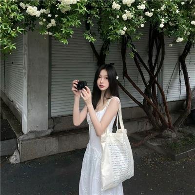 半妖的夜叉姬第一季海报
